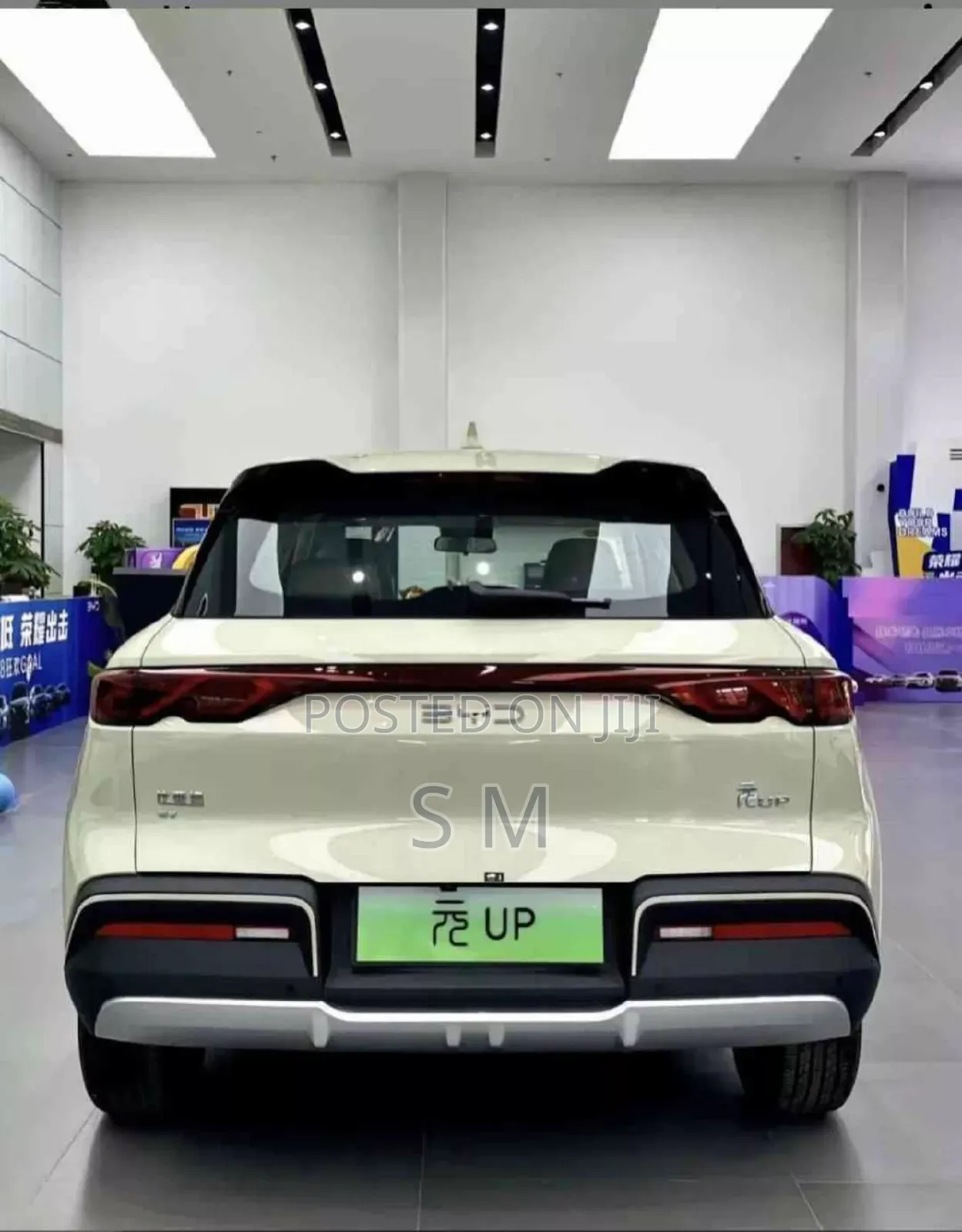 New BYD Yuan Up 45 kWh FWD 2024 Silver