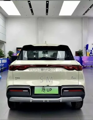 New BYD Yuan Up 45 kWh FWD 2024 Silver