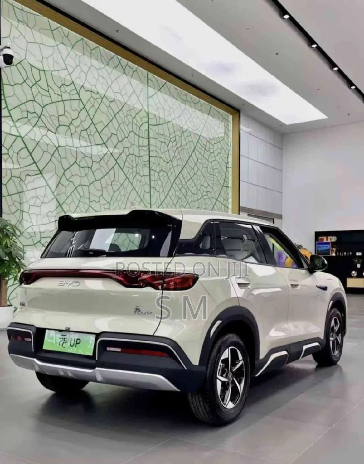 New BYD Yuan Up 45 kWh FWD 2024 Silver