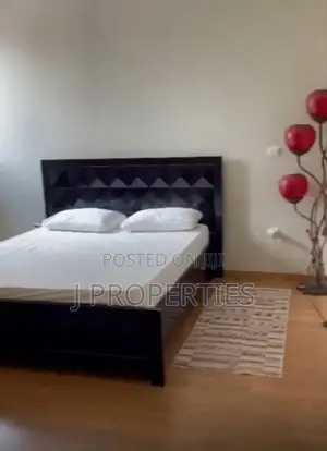 Furnished 3bdrm Apartment in Bole for rent