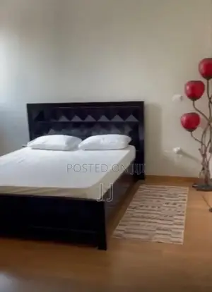 Furnished 3bdrm Apartment in Bole for rent