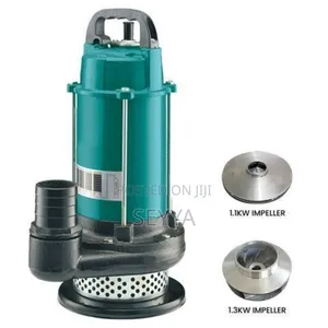 Solar Sumersible Pump