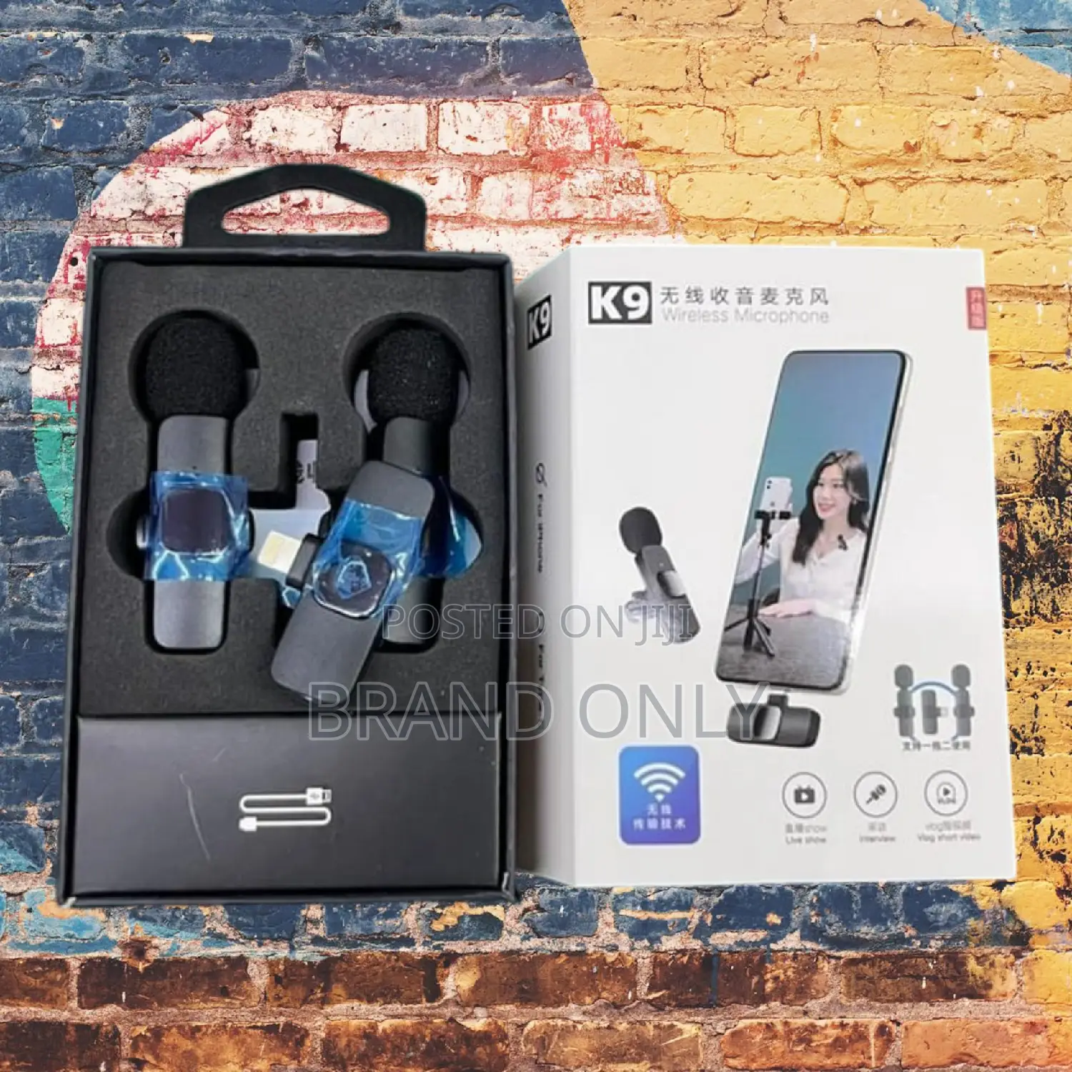  Dual Attractive Mic Wireless Sound