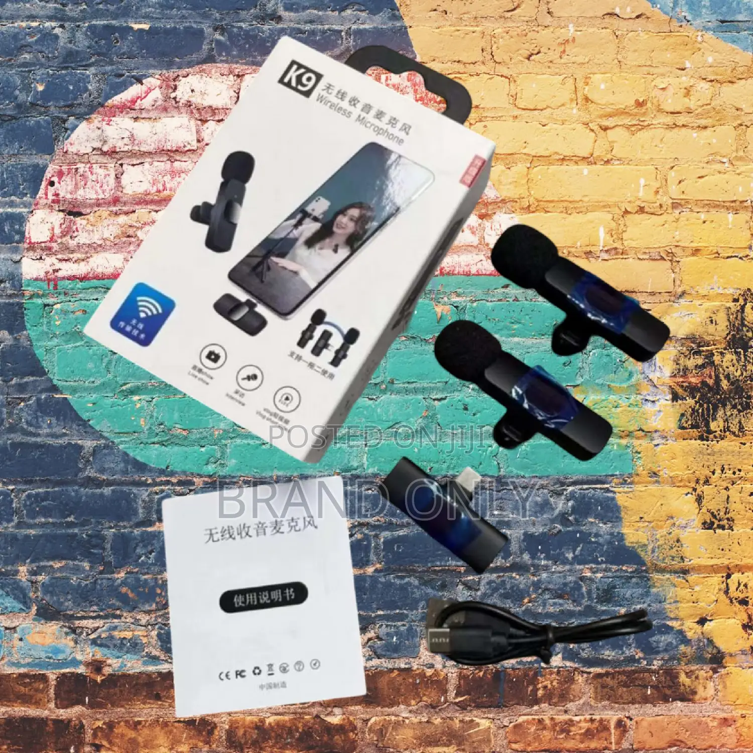  Dual Attractive Mic Wireless Sound