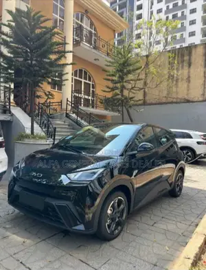 BYD Seagull 2024 Black