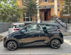 BYD Seagull 2024 Black