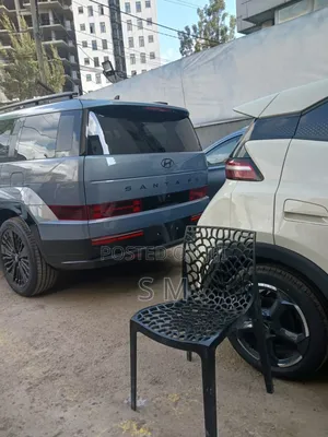 New Hyundai Santa Fe Calligraphy 2024 Gray