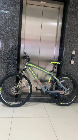 Original Phoinex Bicycle 7 Marsh Bike