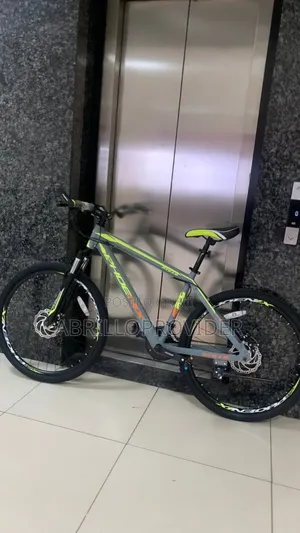 New Original Bicycle PHOINEX Strong Bike 150kg Brand New