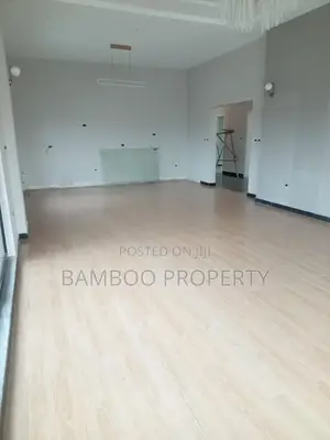 4bdrm Penthouse in Bole for rent