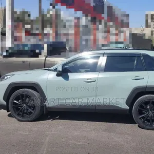 Toyota RAV4 LE AWD 2020 Green