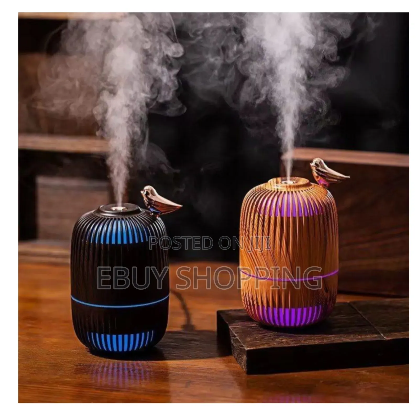 SPRAY Volume 30-50ml/H Humidifier