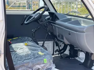 New Suzuki Super Carry 2024 Beige