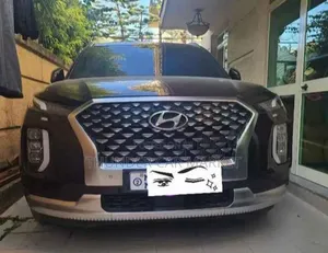 Photo - Hyundai Palisade 2023 Gray