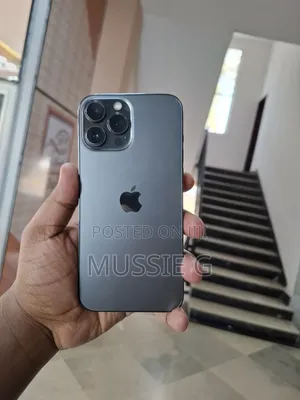 Apple iPhone 13 Pro Max 256 GB Gray