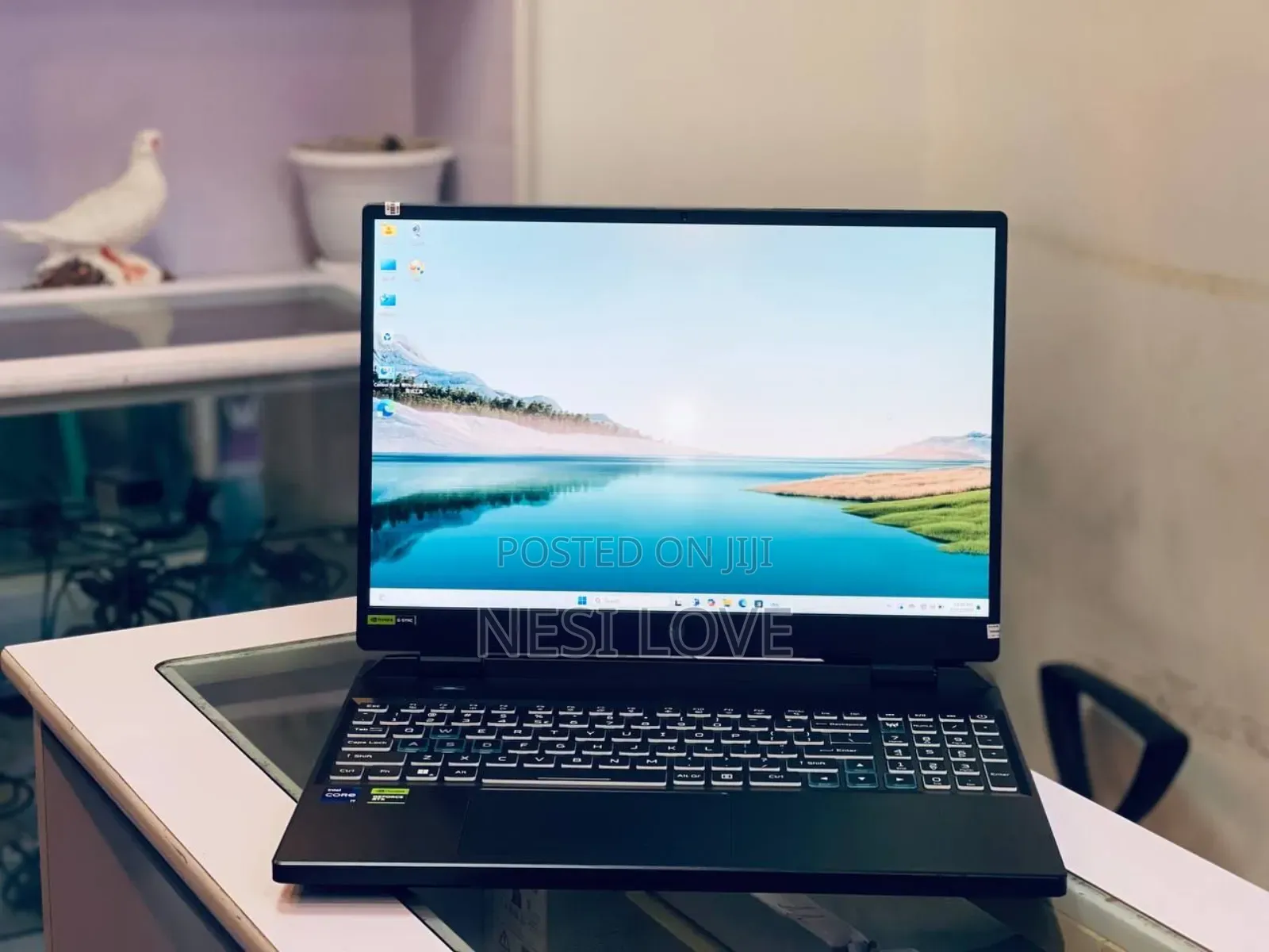 New Laptop Acer Predator Helios 300 16GB Intel Core I9 SSD 1T