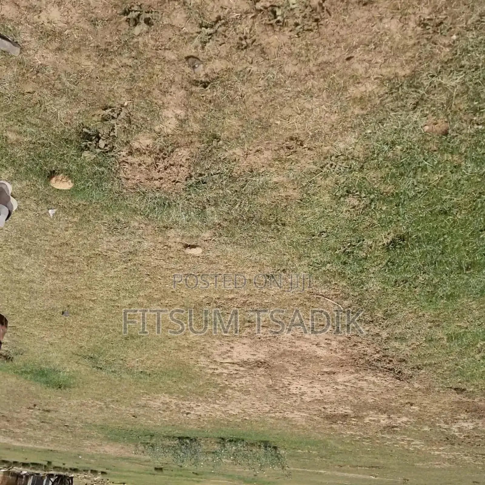Land for Sale(የሚሸጥ መሬት አስቸኳይ) 500m2