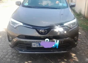 Photo - Toyota RAV4 2018 Brown