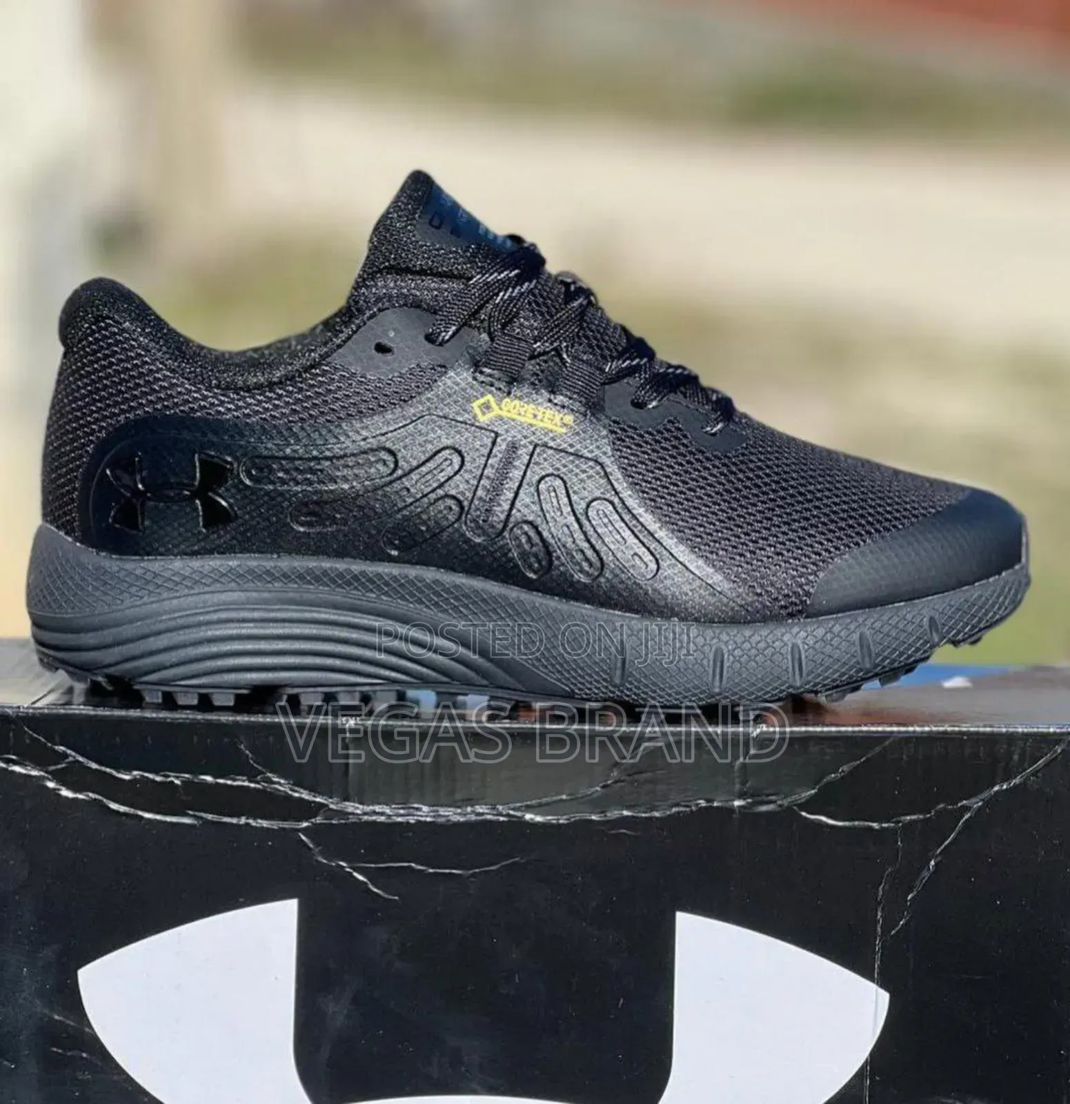 Under Armour Charged Bandit Trial GTX Master Quality Shoes