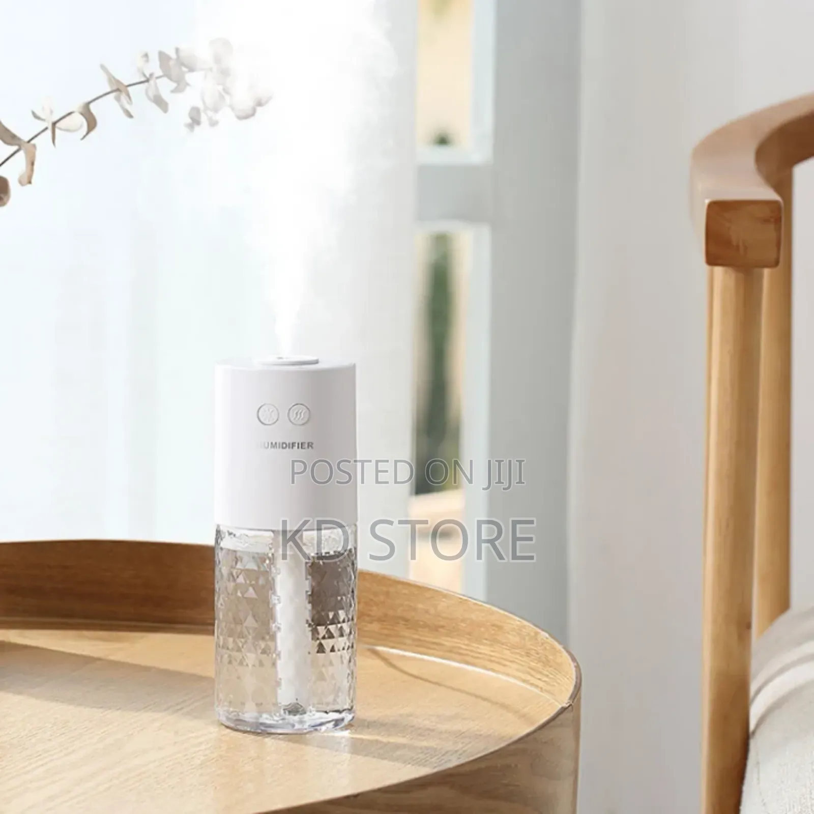 Projection Humidifier