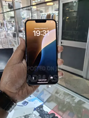 Apple iPhone 13 Pro Max 256 GB Gray