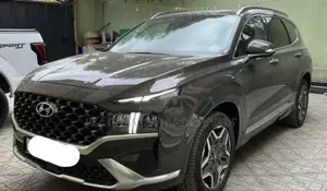 Photo - New Hyundai Santa Fe 2023 Gray