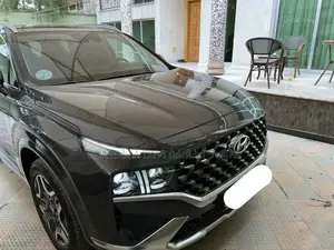 New Hyundai Santa Fe 2023 Gray