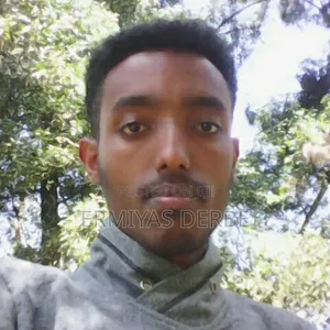 Photo - Junior Accountant