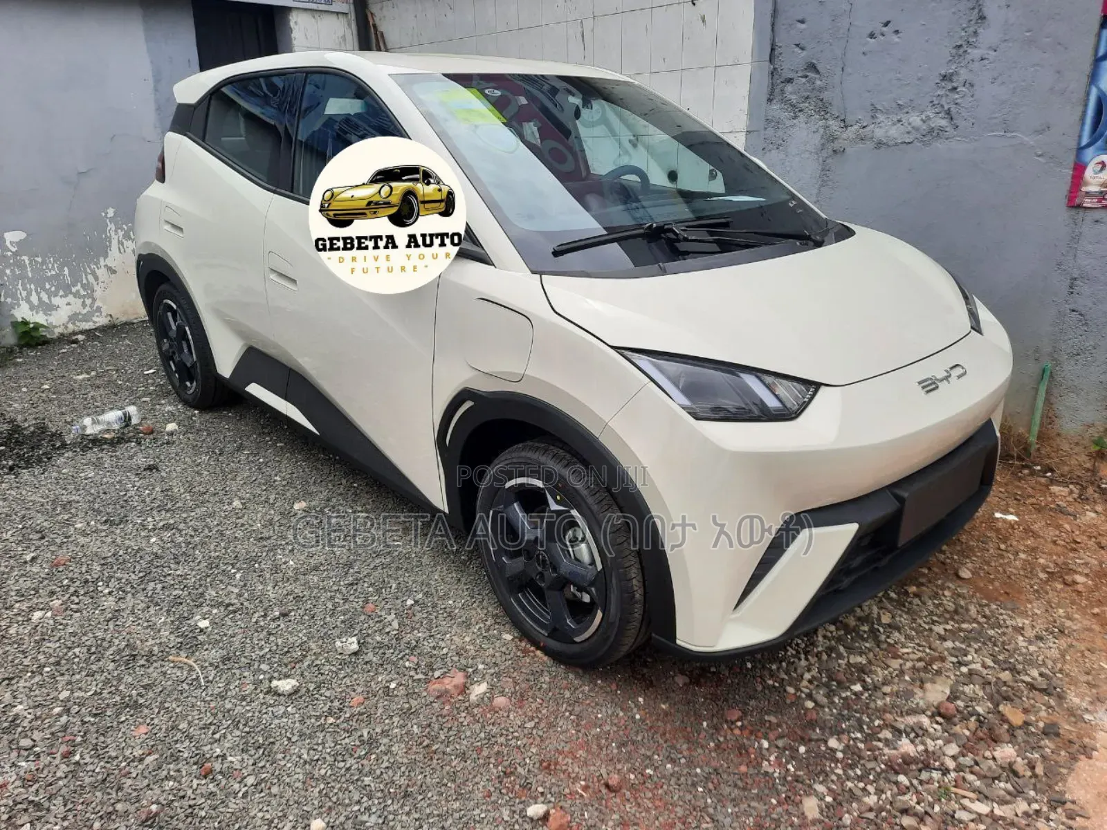 New BYD Seagull 2025 White