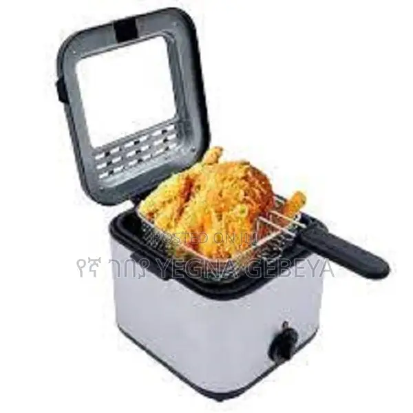 Electric Deep Fryer