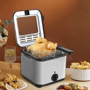 Electric Deep Fryer