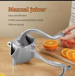 Manual Fruit Press