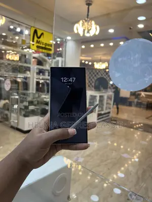 Samsung Galaxy S24 Ultra 256 GB Gray