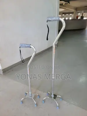 4legged Walking Stick匣essential Medical Supply釔1cane Walk