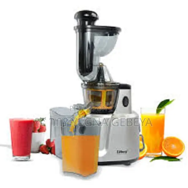 Silver Love Slow Juicer 1000W Blender