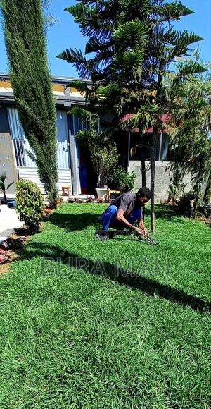 Photo - Mr.MG Gardening Planting Survice