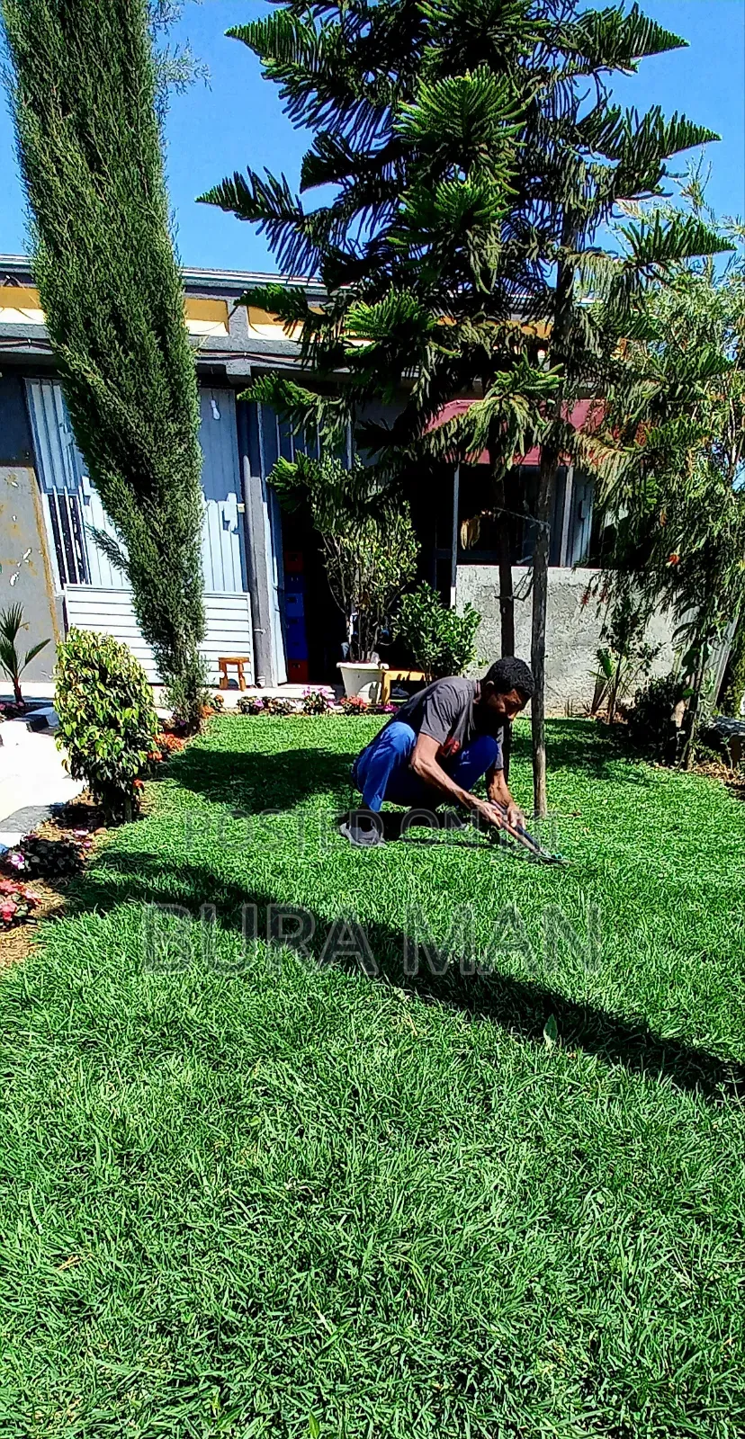 Mr.MG Gardening Planting Survice