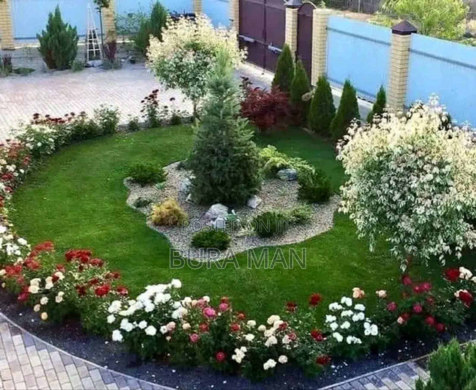 Mr.MG Gardening Planting Survice