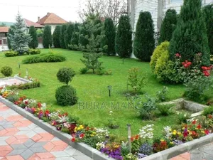 Mr.MG Gardening Planting Survice