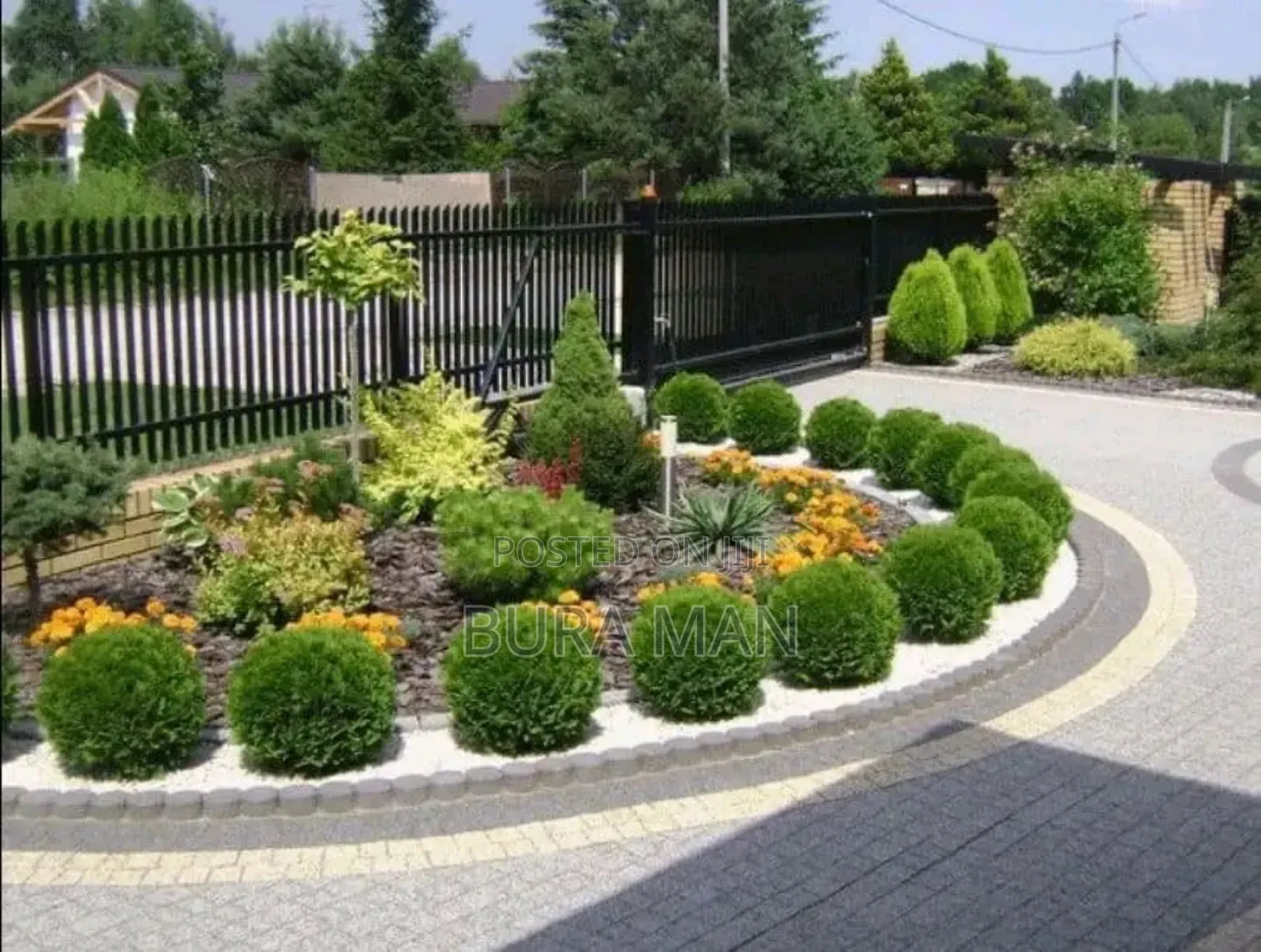 Mr.MG Gardening Planting Survice