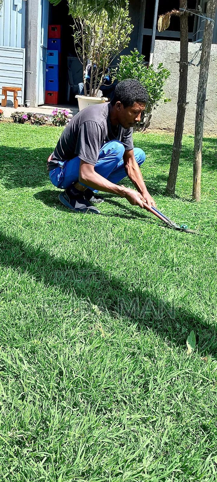 Mr.MG Gardening Planting Survice