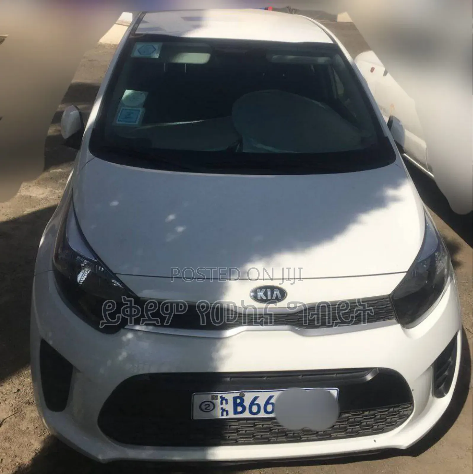 Kia Picanto 2020 White