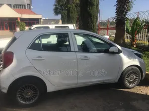 Kia Picanto 2020 White