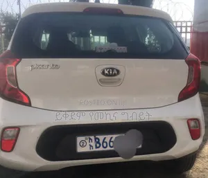 Kia Picanto 2020 White