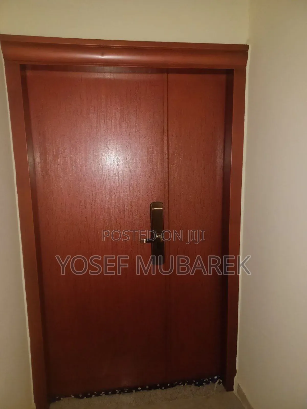 Imported Luxury የውስጥና የውጭ በሮች