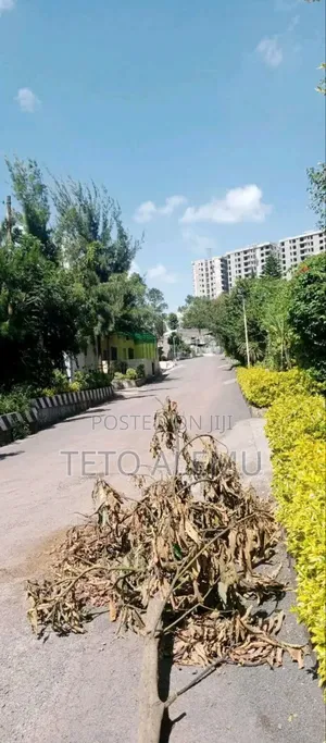 የሚሸጥ ቦታ ሰሚት ዋሽንግተን ሰፈር 150 ካሬ 17 ሚሊዮን ብር