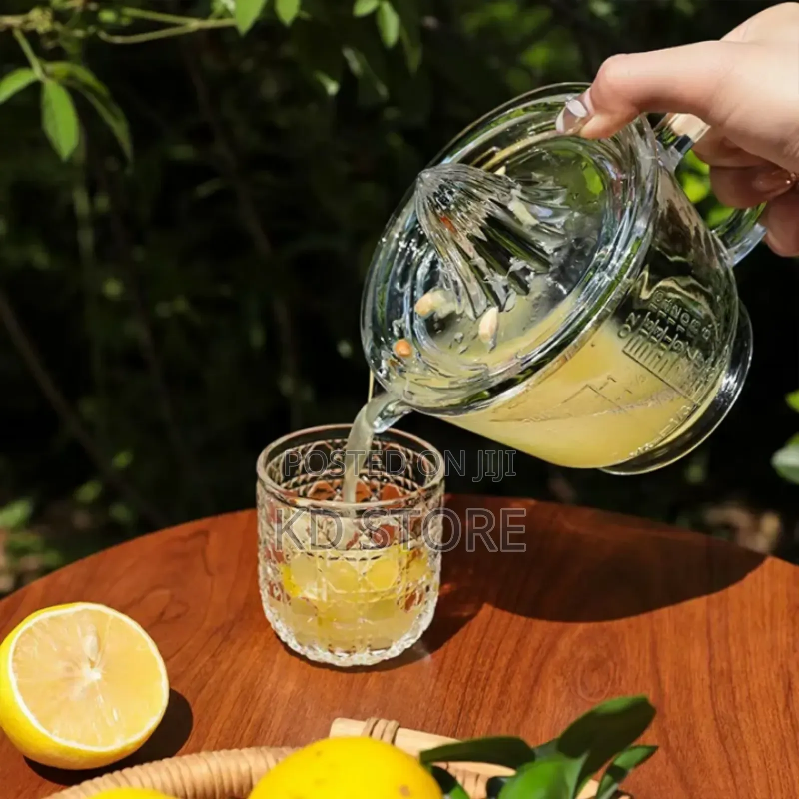  Manual Fruit Juicer With Jug
