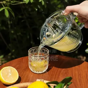  Manual Fruit Juicer With Jug