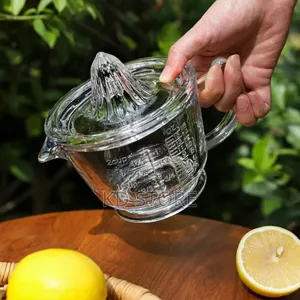  Manual Fruit Juicer With Jug