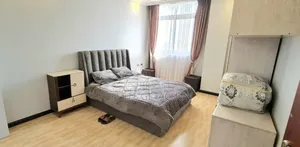 2bdrm Apartment in 22-Golagol, Luxury, Bole for sale